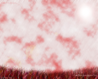 Red white field grass clouds 3 - photo of a field free wallpaper