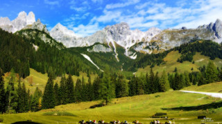 Horse riding group mountain field - free landscape wallpaper for desktop