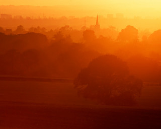 City sunset horse grazing foreground - volumetric light free wallpaper