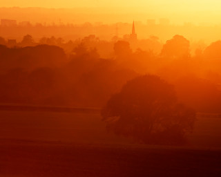 City sunset horse grazing foreground 2 - a view of a city free wallpaper
