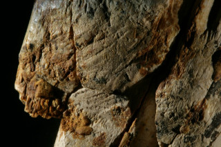 Rock primivitism cave desert forest - a close up of a rock free wallpaper
