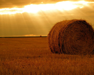 Hay bale field sunshine clouds - the cloud above free wallpaper