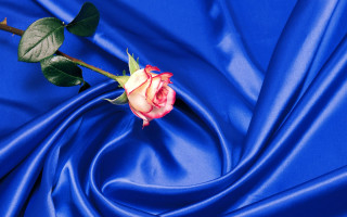 Rose blue satin fabric bud - evelyn de morgan free wallpaper