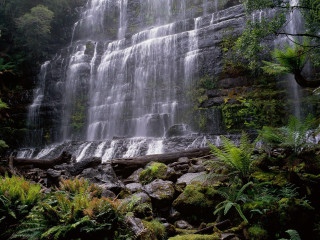 Waterfall forest rocks plants sunlight - a waterfall in the middle of a forest free wallpaper