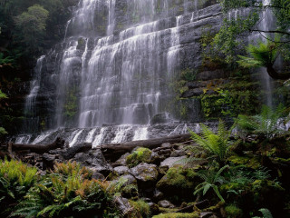 Waterfall side water trees australian - a large amount of water free wallpaper