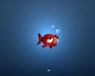 Red fish big eyes swimming 3 - bubble of water free wallpaper