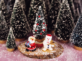 Small christmas tree snowmen santa 5 - a santa clause free wallpaper for desktop