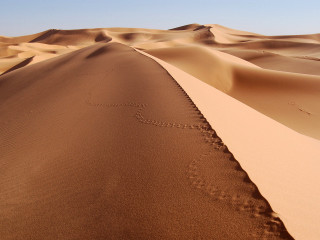 Desert sand dunes sky clouds 2 - a desert free wallpaper