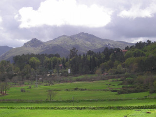 Green field mountain clouds sheep 2 - a green field free wallpaper for desktop