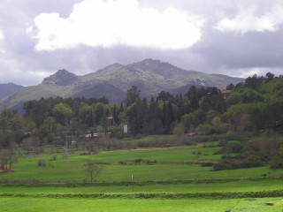 Green field mountain clouds sheep 3 - a green field free wallpaper for desktop