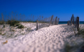 Beach fence grass sand blue 2 - the sand free wallpaper for desktop