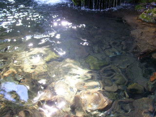 Stream water rocks plants sunlight - rock free wallpaper