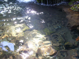 Stream water rocks plants sun - rock free wallpaper