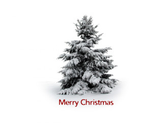 Christmas tree red ribbon merry 2 - a merry christmas message free wallpaper