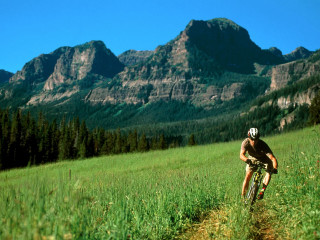 Man riding bike green hillside 2 - grass and trees free wallpaper