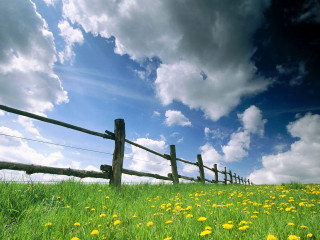Field fence flowers grass cloudy 5 - a fence free wallpaper for desktop