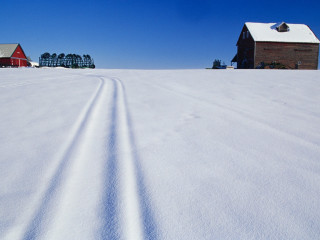 Snow covered field barn red - field free wallpaper