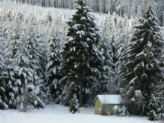 Small cabin snowy forest winter - the background and a snow free wallpaper