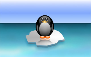 Penguin icefloe ocean blue sky - a penguin free wallpaper