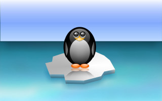 Penguin ice floe ocean blue - a penguin free wallpaper