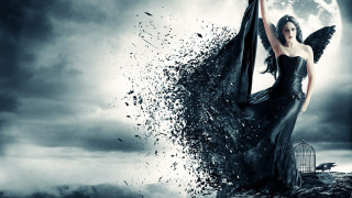 Woman black dress birdcage full - a birdcage free wallpaper