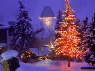 Christmas tree snow house lit 3 - magical atmosphere free wallpaper
