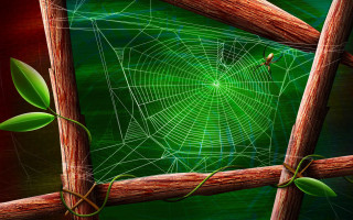 Spiderweb wooden fence green leafy - a wooden fence post free wallpaper