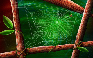 Spider web wooden fence green 2 - a wooden fence post free wallpaper