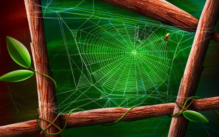 Spider web wooden fence green 3 - a wooden fence post free wallpaper