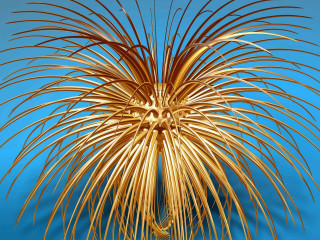 Golden sculpture flower blue background - carol bove free wallpaper