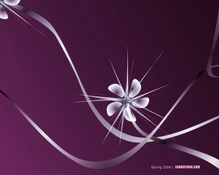 Purple background white flower ribbon - a white ribbon free wallpaper