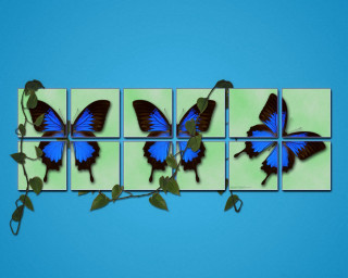 Blue butterfly green wall leaves - a blue butterfly free wallpaper