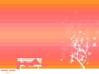 Bench tree leaves rainbow background - a rainbow background free wallpaper