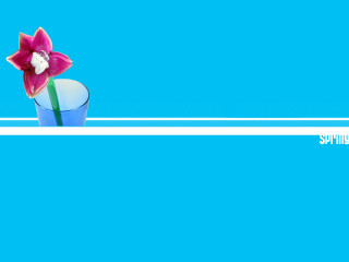 Flower vase blue background white - aquirax uno free wallpaper for desktop