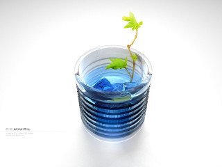Small plant glass water white 4 - a glass of water free wallpaper