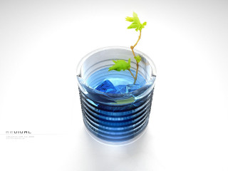 Small plant glass water white 3 - a glass of water free wallpaper