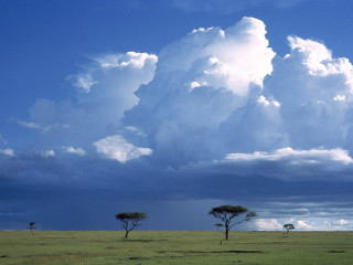 Large cloud field trees grass 2 - a large cloud free wallpaper for desktop