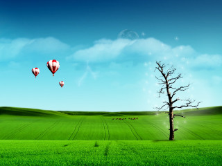 Lone tree field hot air - a lone tree in the foreground free wallpaper
