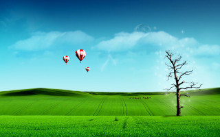 Tree field hot air balloons 5 - a lone tree in the foreground free wallpaper