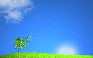 Tree hill blue sky sun 3 - a hill free wallpaper for desktop