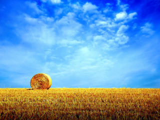 Hay bale field blue sky - single free wallpaper for desktop