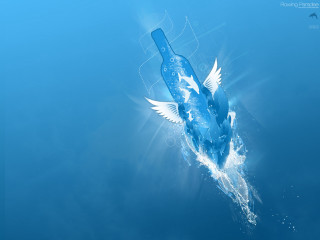 Bottle floating water bird wings 2 - a bottle free wallpaper