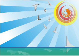 Flock birds water sun sailboat - a flock of birds free wallpaper