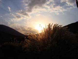 Sunset hill trees blue sky 4 - andor basch free wallpaper for desktop
