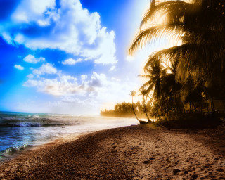Beach palm tree blue sky 2 - the sand free wallpaper for desktop