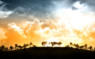 Sunset clouds trees foreground yellow - cloud and trees free wallpaper for desktop