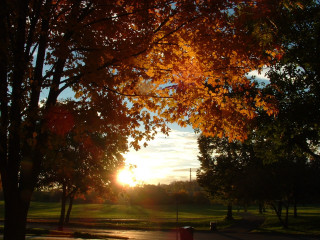 Park bench trees sunset clouds 2 - a bench and trees free wallpaper