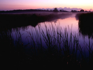 Lake reeds sunset clouds water - the water and a sunset in the background free wallpaper