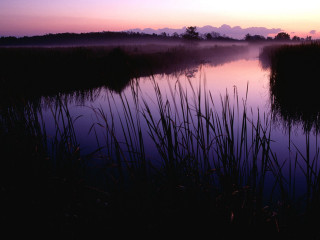 Lake reeds sunset clouds water 2 - the water and a sunset in the background free wallpaper