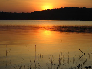 Sunset lake boat trees background 2 - arlington nelson lindenmuth free wallpaper